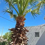 Casa De Ferias Palmeira Faro