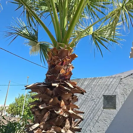 Casa De Ferias Palmeira Φάρο