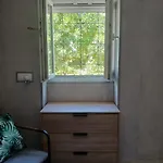 Casa De Ferias Palmeira *