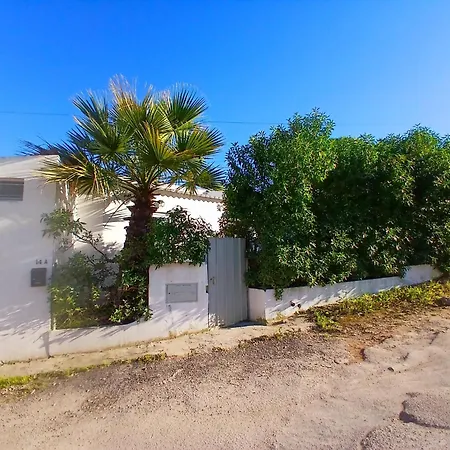 Casa Da Palmeira Holiday home