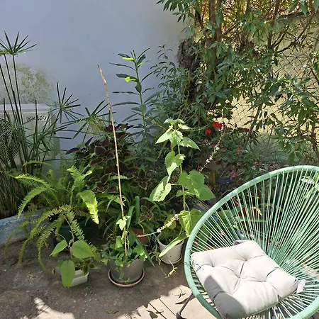 Hébergement de vacances Casa De Palmeira *