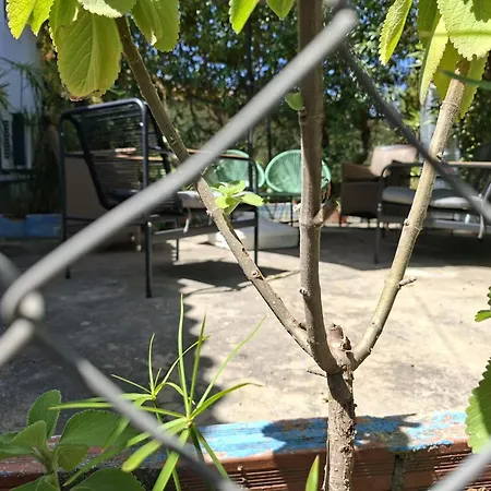 Casa De Palmeira Hébergement de vacances